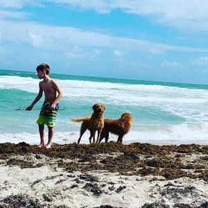 Meet your Posher, Mandy